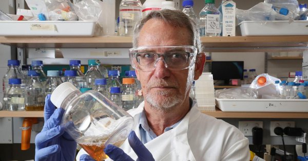 Head of UQ's School of Chemistry and Molecular Biosciences, Professor Paul Young