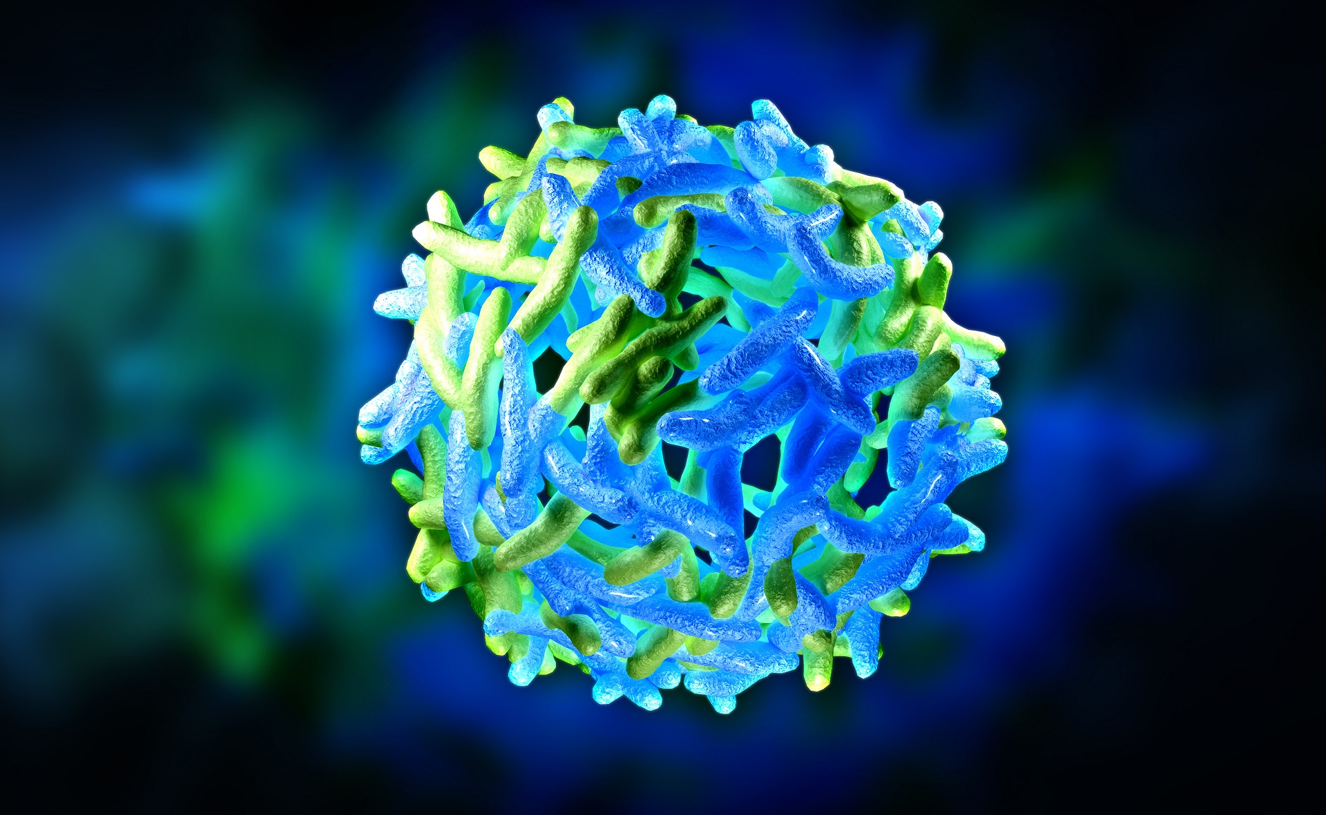 structural-differences-between-multiple-strains-of-yellow-fever-viruses