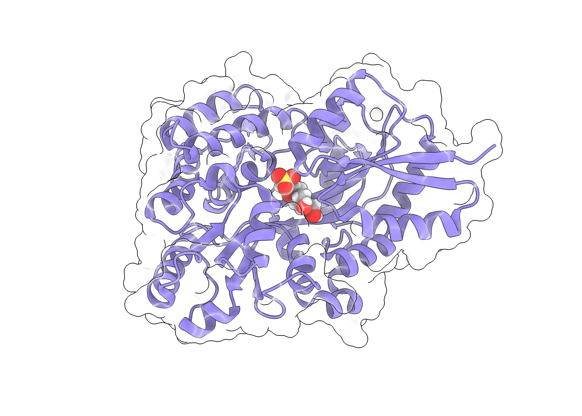 Molecular look at biosulfurs