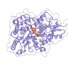 Molecular look at biosulfurs