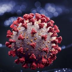Coronavirus