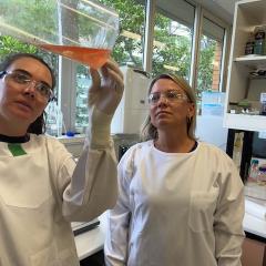 Researchers looking at sample