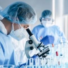 Researchers in a lab looking through microscopes
