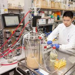 Researcher observes lab equipment