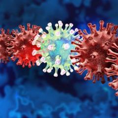 Virus variant