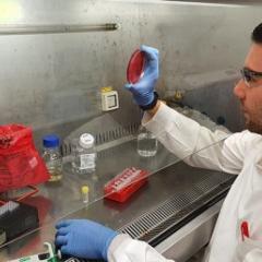 Dr David De Oliveira