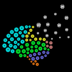 Brain