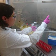 Dr Tania Rivera Hernandez