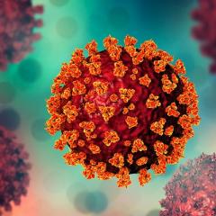 Virus