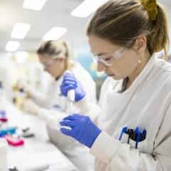 Lab